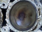 IMG_20100725_174429.jpg