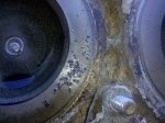 IMG_20100725_181244.jpg