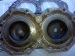 IMG_20100725_181251.jpg