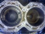 IMG_20100725_181314.jpg