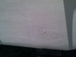 IMG_20100725_143316.jpg