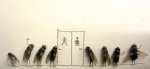 line for the rest room (2).jpg