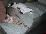 DSCN4387.JPG