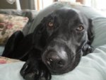 otis1.jpg