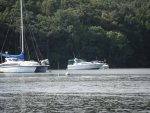 fishingatcanal 068.jpg