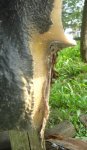 DSC05592.jpg