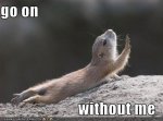 go on without me.jpg
