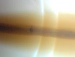 0817101750.jpg