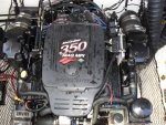 30370048.jpg