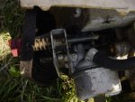 DSC04350.jpg