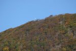 IMG_1178.JPG