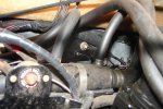 DSC00240-1.JPG