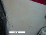 DSC01212.JPG