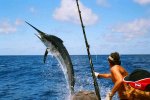hemingway marlin.jpg