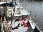 BLUEFIN 002.jpg