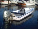 whaler_honda45.jpg