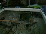 IMG_20101004_183552.jpg