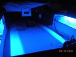 lights6 (Medium).jpg