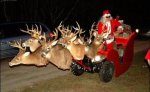 santa reindeer.jpg