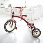tricycle 2.JPG