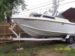 boatand kittens 001.jpg
