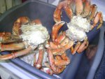 DSC00226.JPG
