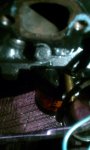 IMAG0103.jpg