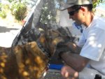 camping 2010 011.jpg