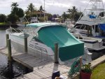 DSC02485.jpg