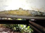 P1707_28-12-10.jpg
