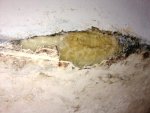 P1708_28-12-10.jpg
