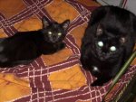 kiki & sam 002.JPG