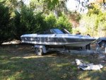 IMG_0498.jpg