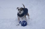 orion in snow.jpg
