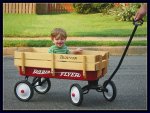 Robert_wagon.jpg