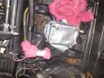 DSC00157.JPG