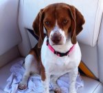 Daisy boat resize.jpg