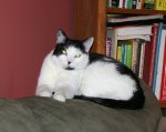 IMG_1838.jpg