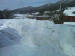 IMG00175-20110209-1002.jpg