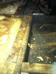IMG_0703.jpg