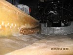 IMG_3411.jpg