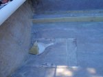 PA100887small.jpg