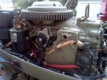 IMG_20110310_162901.jpg