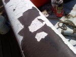 boat skin.jpg
