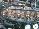 IMG00088-20110319-1553.jpg