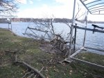 Ice Damage 005_e-mail.jpg