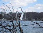 Ice Damage 006_e-mail.jpg