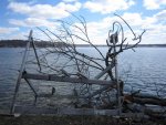 Ice Damage 002_e-mail.jpg