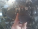IMG_20110402_133106.jpg