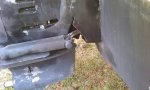 IMAG0108.jpg
